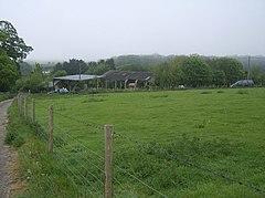 Descent to Kingston Russell Farm - geograph.org.uk - 437843.jpg