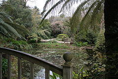 Pond, Trengwainton.JPG
