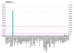 PBB GE CXCL12 203666 at fs.png