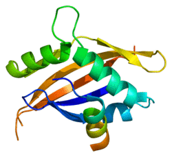 Protein NCOA1 PDB 1oj5.png