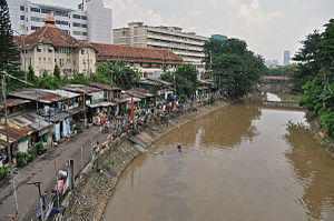 Ciliwung 100303-0435 jkt.jpg
