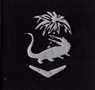 4th Aust Armd Bde(AWM 129658).jpg
