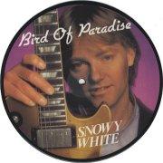 UK picture disc