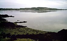 CanCat Beach Deer Island.jpg