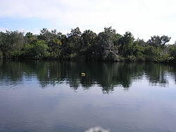 Little Salt Spring.JPG
