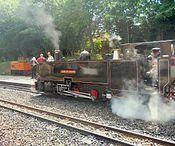 BVR No 8 John of Gaunt Alysham.jpg