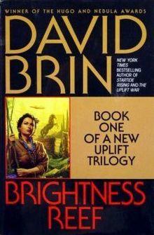 Brightness Reef Cover.jpg