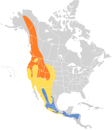 Empidonax hammondii map.svg