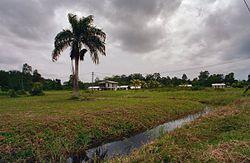 Overzicht van district Commewijne - Unknown - 20418727 - RCE.jpg