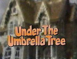 UmbrellaTree30.jpg