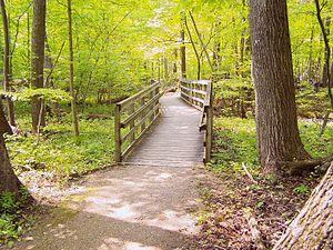 2007-5-25- Rondeau Ontario - Provincial Park (47).JPG
