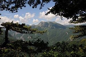NP001 nacionalni park sutjeska perucica.jpg