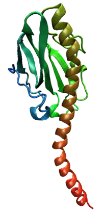 Pilin-2pil.png