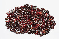 Red Rajma BNC.jpg