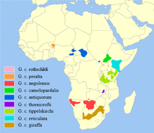 Giraffa camelopardalis distribution2.png