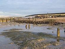 Groynes towards Seasalter - geograph.org.uk - 1033231.jpg