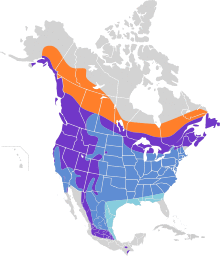 Spinus pinus map.svg
