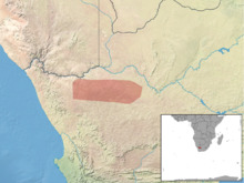 Thallomys shortridgei distribution.png