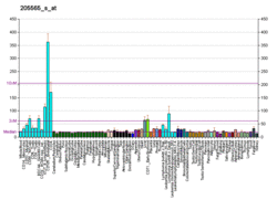 PBB GE FXN 205565 s at fs.png