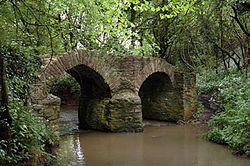 Sturt Bridge - geograph.org.uk - 102063.jpg