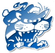 Broadbeach fc logo.png