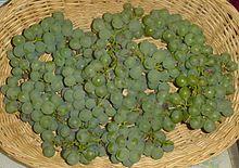 Niagara Grapes.jpg