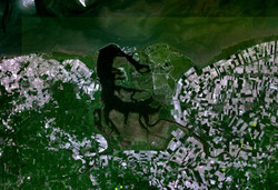 Satellite image of Lauwersmeer, Netherlands (6.21E 53.36N).png