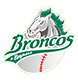 Broncos de Reynosa logo.jpg