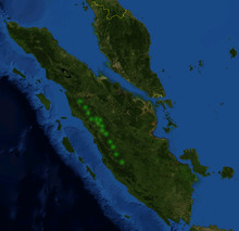 Nepenthes bongso distribution.png