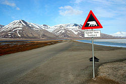A sign warning of polar bears on a road in Svalbard