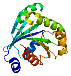 Protein ARF6 PDB 1e0s.png