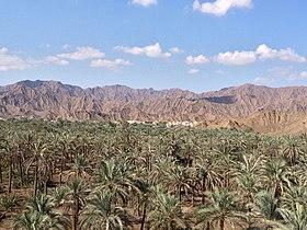 Hills in Fujairah 2012 01.jpg