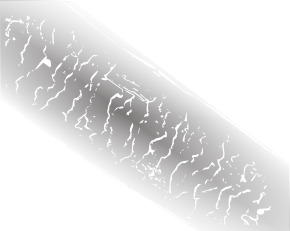 Human hair SEM.svg