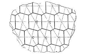 Fricke-Klein-1897-hexagon-parallelogram-1.jpg