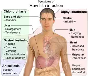 Symptoms of Raw fish infection.png