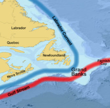Grand Banks.png