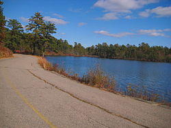 MylesStandishRoadsidePond.jpg