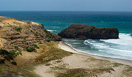 Mornington Peninsula NP Elephant Rock Stevage.jpg