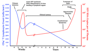 A graph with two lines. One in blue moves from high on the right to low on the left with a brief rise in the middle. The second line in red moves from zero to very high then drops to low and gradually rises to high again