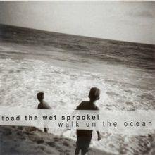 Walk Oceans.jpg