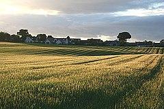 Urchard 843458.jpg