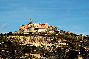 Vista de Labraza.jpg