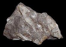 Hemicyclaspis murchisoni and Thyestes egertoni.jpg