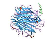 PDB 1o91 EBI.jpg