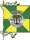 Flag of Tondela