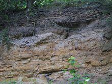 Lambeth Group Gilbert's Pit.jpg