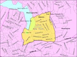 U.S. Census map