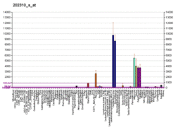 PBB GE COL1A1 202310 s at fs.png