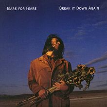 BreakItDownAgain.jpg