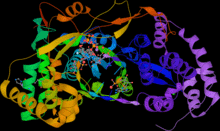 HCV NS5B RdRP stalled 4WTG.png